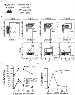 Polymicrobial Sepsis Impairs Antigen-Specific Memory CD4 T <mark class="highlighted">Cell-Mediated Immunity</mark>